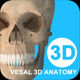 维萨里3d解剖教学软件