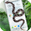 蛇屏幕恶作剧正版app