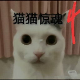 猫猫惊魂4游戏手机版下载v23.08.181822
