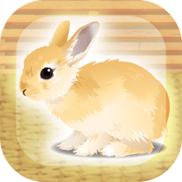 治愈兔子游戏安卓最新版下载v1.4