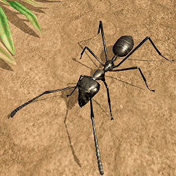 昆虫发育模拟器安卓最新版下载v1.00