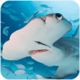锤头鲨模拟器游戏(The Hammerhead Shark)手游下载v1.0.1最新版
